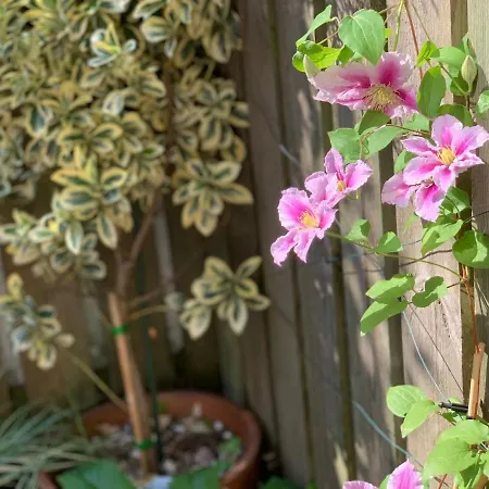 Beachhouse Schwedeneck * Surendorf